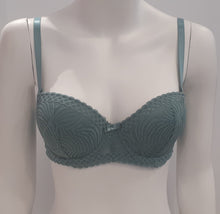 Load image into Gallery viewer, Plus Size Underwire Push Up Bra D & DD