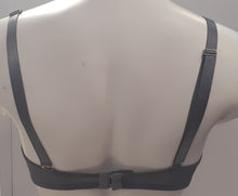Load image into Gallery viewer, Underwire and Padded plus size bra