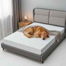 Load image into Gallery viewer, Waterproof Mattress Protector Deep Pocket Towelling Noiseless Bed Cover
